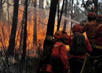 Portugal Fire