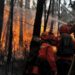 Portugal Fire