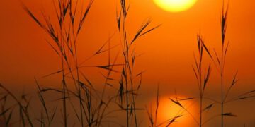 105229_sunset