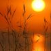 105229_sunset