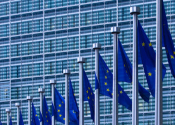 20101117_163111_3678_AII