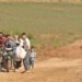 _63492847_pkkonline1