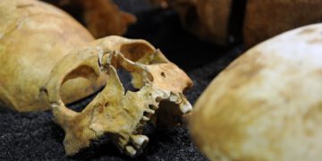 _63550860_skull