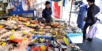 _63715761_fish2