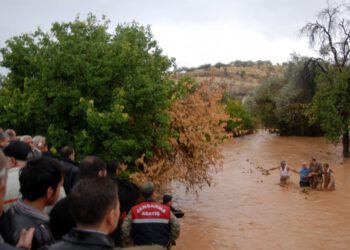 copyright_aabadoluajansi_2012_20121026143531