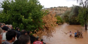 copyright_aabadoluajansi_2012_20121026143531