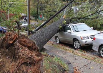 copyright_aabadoluajansi_2012_20121031111544