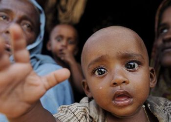 copyright_aabadoluajansi_2012_20121031111836