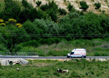 ostovar20121031073016307