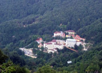 copyright_aabadoluajansi_2012_20121105083923