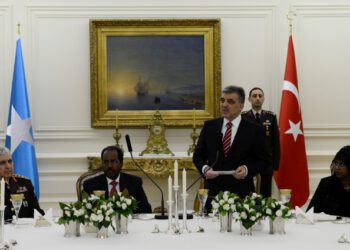 copyright_aabadoluajansi_2012_20121206074336