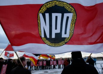 img_606X341_germany-npd-party-051212