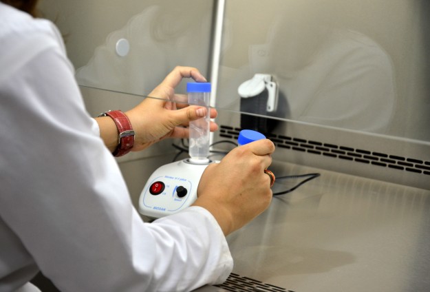 TSE to issue halal food certificates in Europe