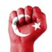 Türkler Namusludur - Ahmed Necip YILDIRIM
