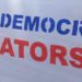 Struggle Against Dictatorship -Ahmed Necip YILDIRIM