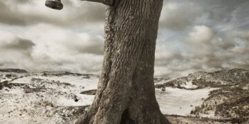 Bir Rüyadan Uyandım Ki - Ahmed Necip YILDIRIM