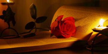 Elveda - Ahmed Necip YILDIRIM