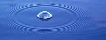 Habbe - Ahmed Necip YILDIRIM - Şiir