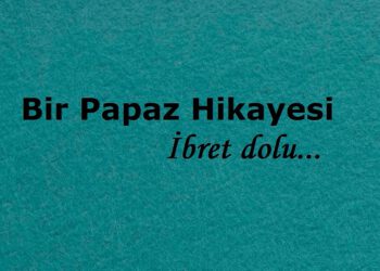 Bir Papaz Hikayesi