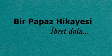 Bir Papaz Hikayesi