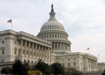 Amerikalılar neleri oylayacaklar?