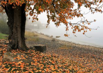 Hristiyan gencin îmânı