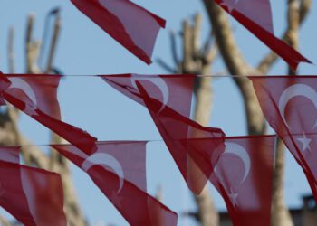 Is Turkey's foreign policy sustainable?