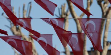 Is Turkey's foreign policy sustainable?