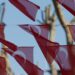 Is Turkey's foreign policy sustainable?