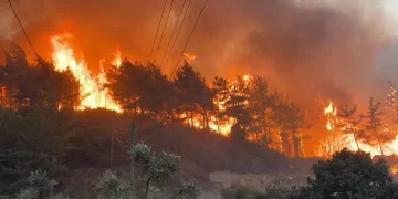 Fire In Turkey