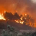 Fire In Turkey