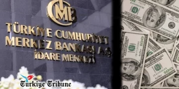 IMF Predicts Turkey Inflation Drop to 24% in 2024