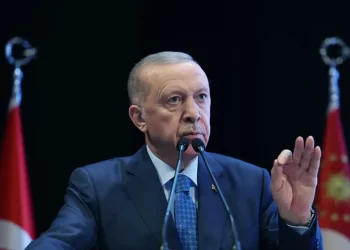 Israel Hamas Conflict Turkey's role, turkey