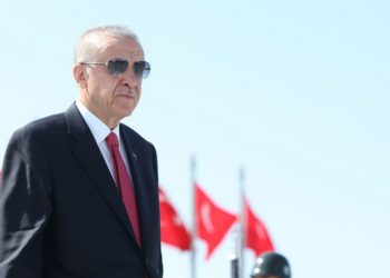 Erdoğan at NATO Summit 2024 discussing Turkey's contributions