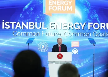 Turkey Remains Committed to Energy Independence: Erdoğan