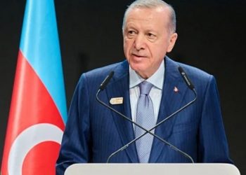 Turkey Leads Strongest Response to Actions of Israel: President Erdoğan