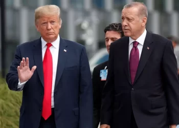 Erdoğan and Trump Discuss Gaza and Syria