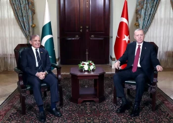 Erdogan, Sharif Aim to Boost Turkey-Pakistan Trade Ties