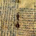 The Ottoman Soldier’s Love for Faith, Homeland, and Family