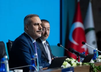 Turkey, China Urge Two-State Solution for Peace