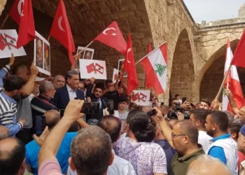 Hezbollah Disarmament and Its Impact on Turkey